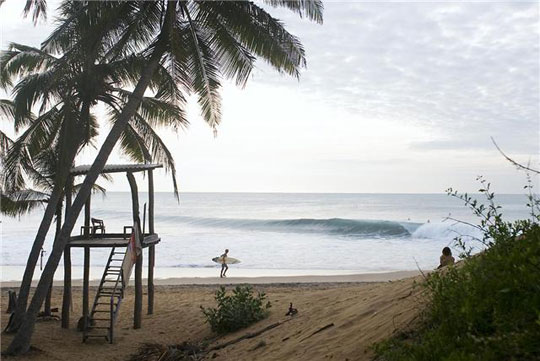 Surf Arugam Bay