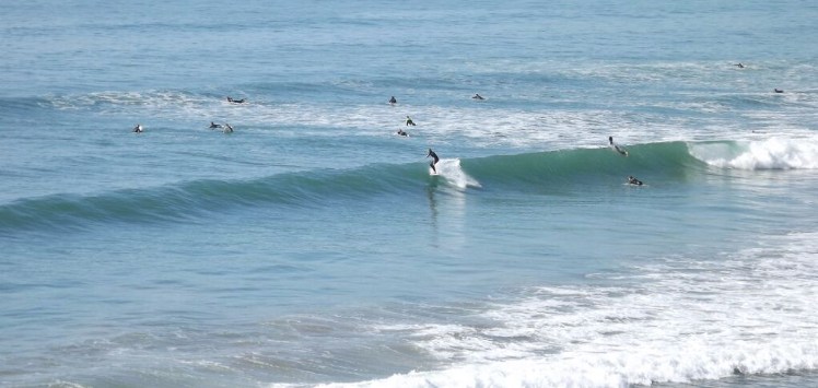 Surfen Marokko Hash Point