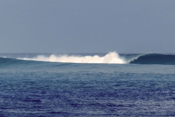 Surfspot Chickens Maldives