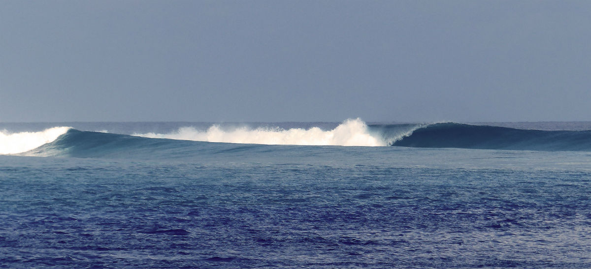 Surfspot Chickens Maldives