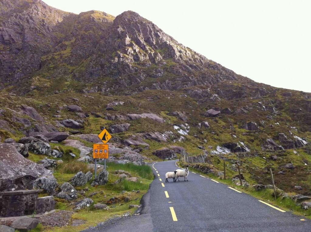 Irish Traffic